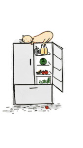 tomt kjøleskap Challenge